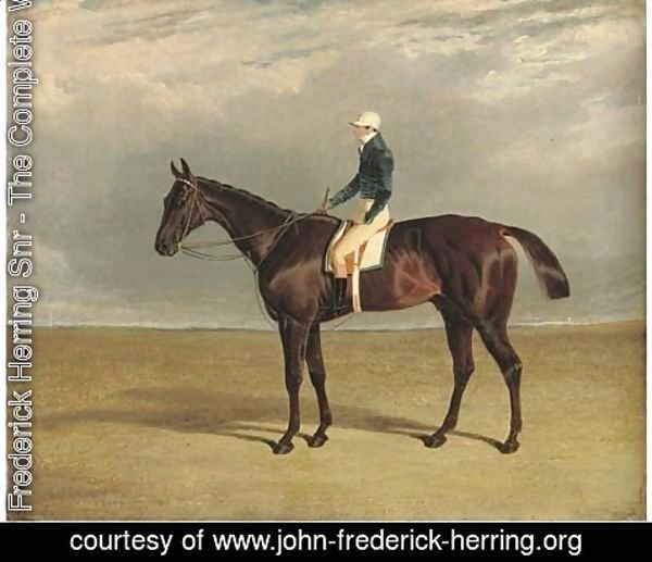 John Frederick Herring Snr - Margrave with J. Robinson up, a racecourse beyond