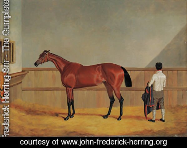 John Frederick Herring Snr - Matilda, a bay racehorse with her groom in a loosebox