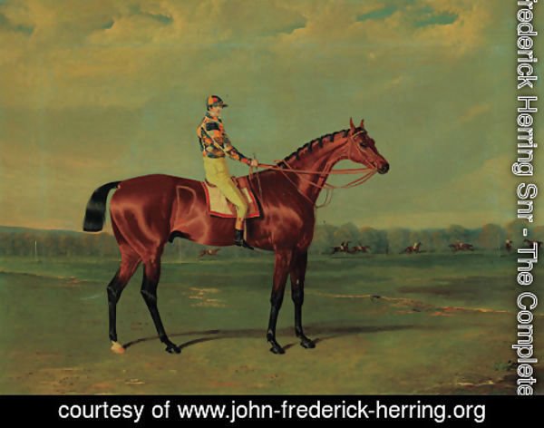 John Frederick Herring Snr - Memnon, a bay racehorse with William Scott up in the colours of Richard Watt, on Doncaster racecourse