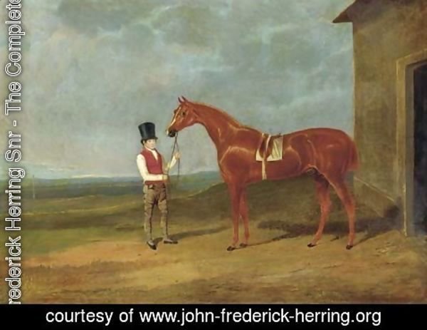 John Frederick Herring Snr - Mr. Dixon's Mountaineer, a chestnut colt, held by a groom outside a stable