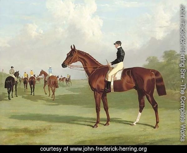 Mundig with William Scott up at the start for the 1835 Derby, jockeys and racehorses on the course beyond
