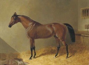 John Frederick Herring Snr - Pacelot, a bay stallion, in a stable
