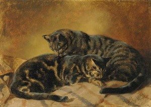 John Frederick Herring Snr - Two cats