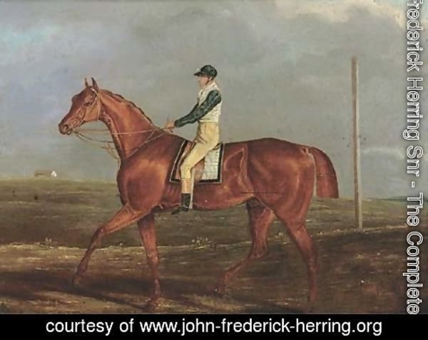 John Frederick Herring Snr - Monreith, with Tom Shepherd up