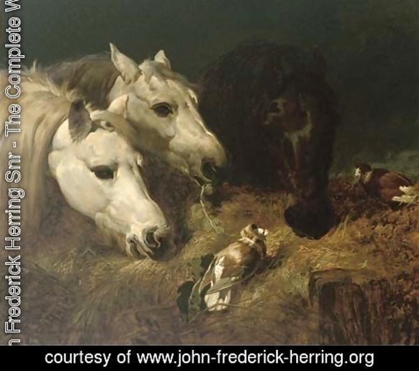 John Frederick Herring Snr - Sharing the hay