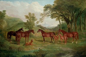 John Frederick Herring Snr - The Streatlam Stud, Mares and Foals