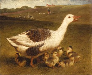 A Goose and Goslings