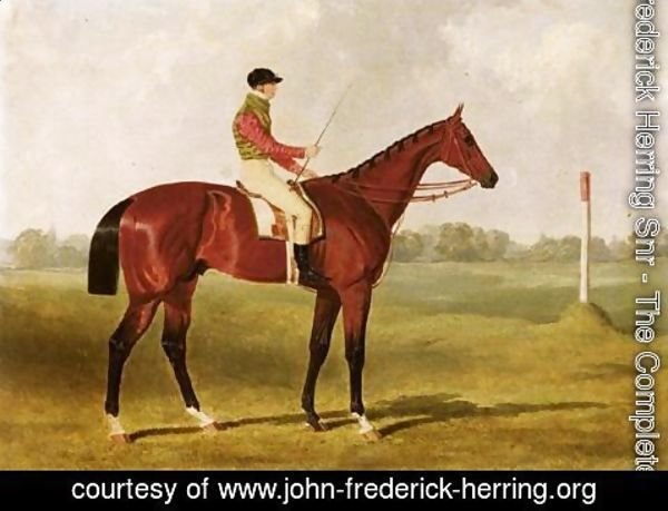 John Frederick Herring Snr - Phosphorus, A Bay Racehorse With George Edwards Up, On A Racecourse