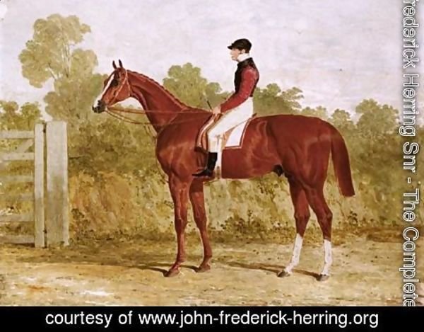 John Frederick Herring Snr - Elis, A Chestnut Racehorse With John Day Snr. Up, By A Gate