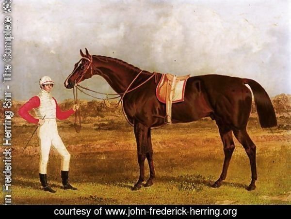 Euclid, A Chestnut Racehorse Held By His Jockey, Patrick Conolly, In A Landscape