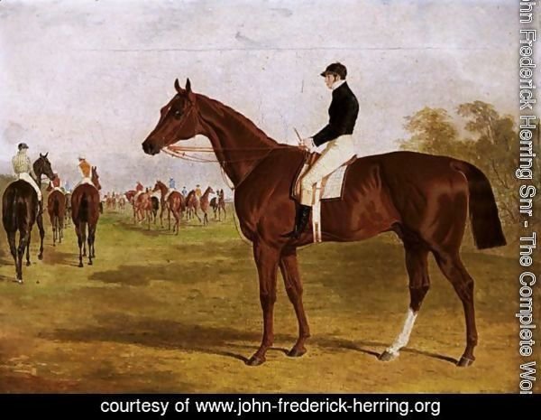 Mundig, A Chestnut Colt With William Scott Up, At The Start For The 1835 Derby
