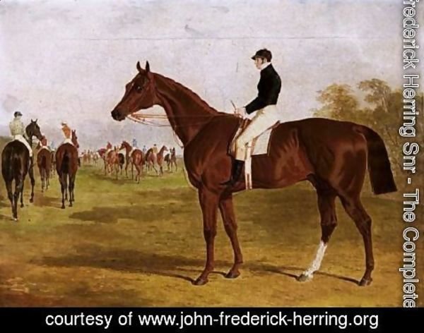 John Frederick Herring Snr - Mundig, A Chestnut Colt With William Scott Up, At The Start For The 1835 Derby