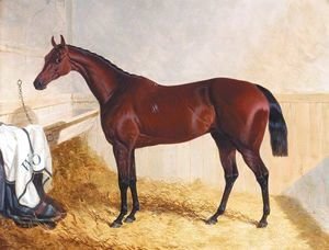 John Frederick Herring Snr - Mr William Orde's Bay Filly Bees-Wing In A Loose Box