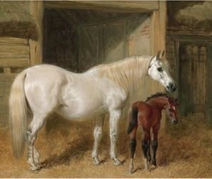 John Frederick Herring Snr - A Grey Mare And Her Foal In A Loose Box