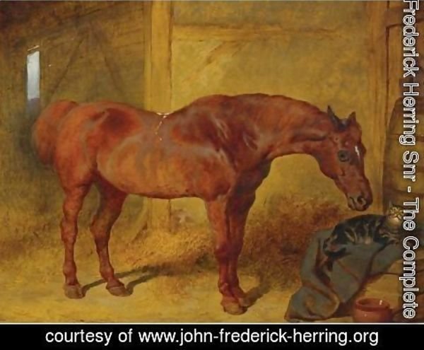 John Frederick Herring Snr - In The Stable