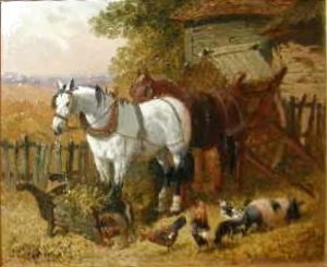 Horses with chickens and a pig