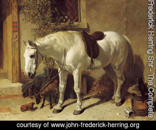 John Frederick Herring Snr - A grey horse, with a goat, a toy spaniel