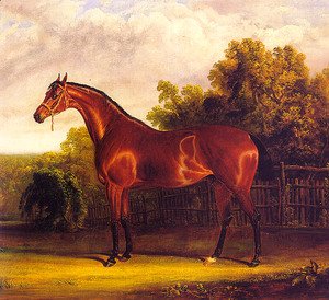 Negotiator the Bay Horse in a Landscape  1826