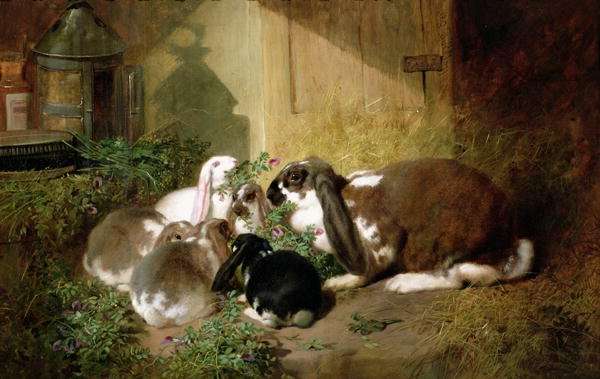 A lop-eared doe rabbit with her young by John Frederick Herring, Sr.