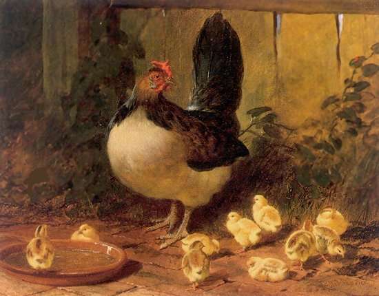 The Proud Mother Hen and Chicks 1852 by John Frederick Herring, Sr.