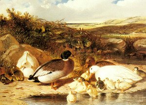 John Frederick Herring Snr - Mallard Ducks and Ducklings on a River Bank