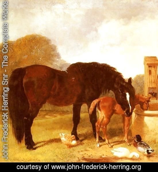 John Frederick Herring Snr - Horse and Foal watering at a trough