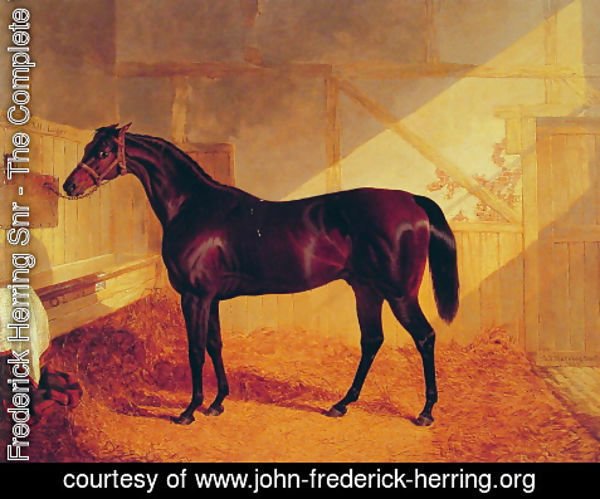 John Frederick Herring Snr - Mr Johnstone's Charles XII in a Stable