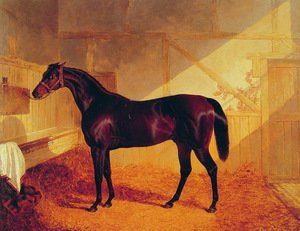 Mr Johnstone's Charles XII in a Stable