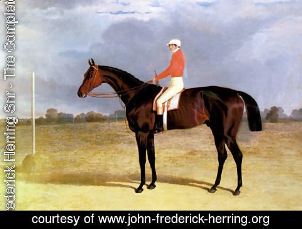 John Frederick Herring Snr - A Dark Bay Racehorse with Patrick Connolly Up