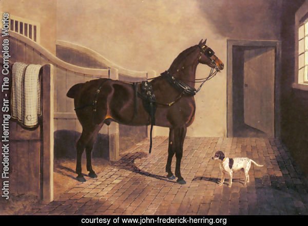A Favorite Coach Horse and Dog in a Stable