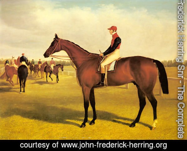 John Frederick Herring Snr - Don John, The Winner of the 1838 St. Leger with William Scott Up