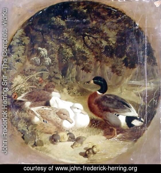 Ducks and Ducklings in a Wooded River Landscape