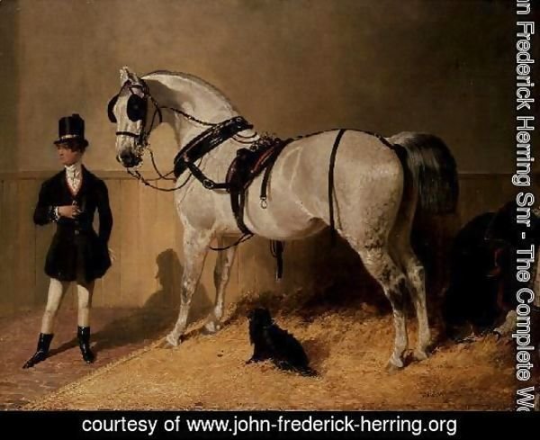 A St. James's Carriage Horse