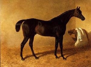 John Frederick Herring Snr - 'Dr Syntax', a dark bay racehorse in a loose box