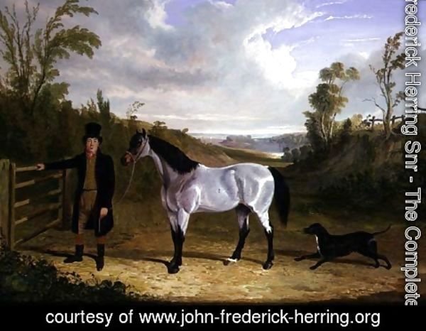 John Frederick Herring Snr - Benjamin Smith's Groom Leslie, with favourite hunter 'Avondale' in a landscape