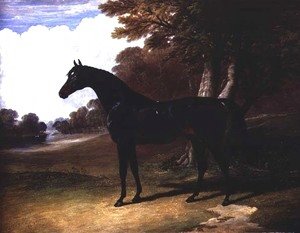 John Frederick Herring Snr - Gaucus, a dark bay horse in a wooded landscape