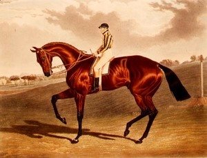 John Frederick Herring Snr - 'Bay Middleton' winner of the Derby in 1836