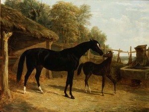 Levity, the property of J.C.Cockerill Esq., with her foal Queen Elizabeth, the property of Lord Dorchester, 1843