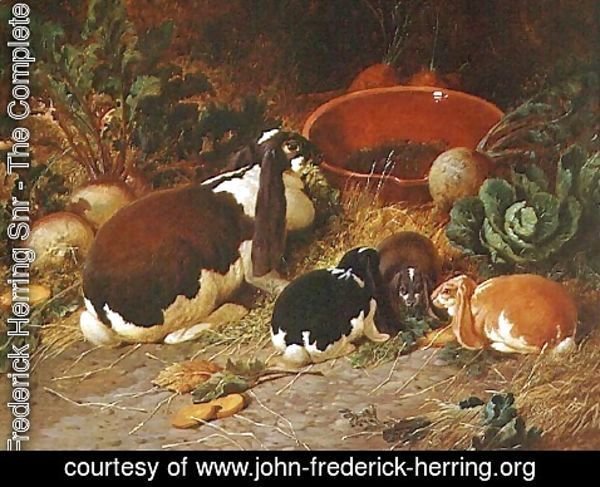 John Frederick Herring Snr - Fancy Rabbits, a Doe with her Young, 1863
