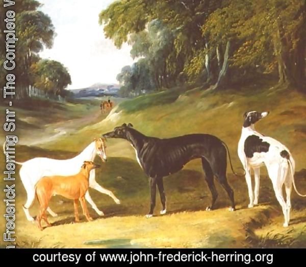 John Frederick Herring Snr - Greyhounds, 'Spot', 'Skylark', 'Nettle' and 'Sky', 1839