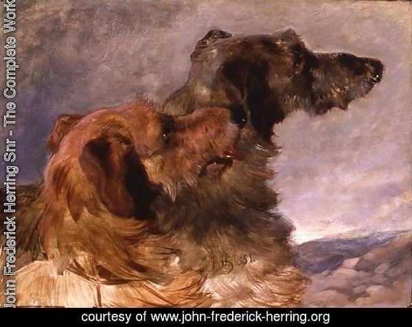 Two Deerhounds, 1851