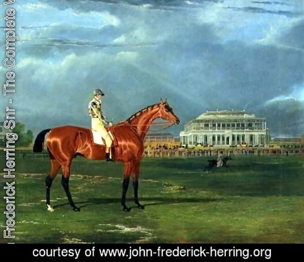 John Frederick Herring Snr - 'Memnon' with William Scott Up, 1825