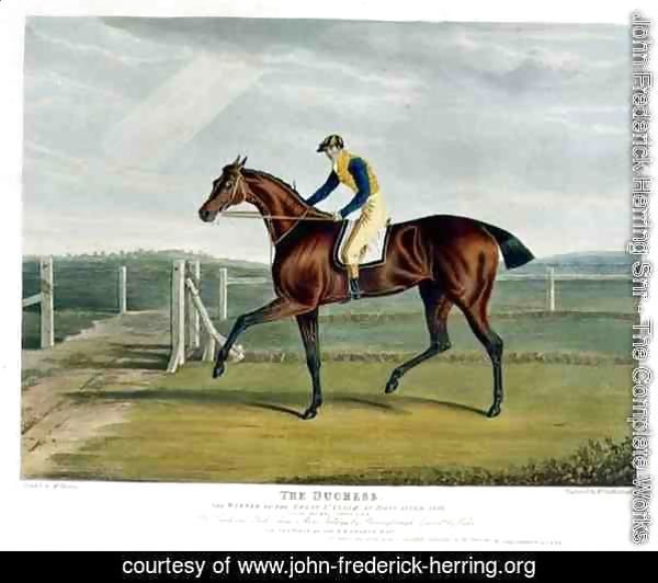 'The Duchess', the Winner of the Great St. Leger at Doncaster, 1816