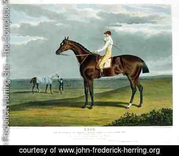 John Frederick Herring Snr - 'Ebor', the Winner of the Great St. Leger at Doncaster, 1817