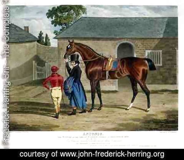 John Frederick Herring Snr - 'Antonio', the Winner of the Great St. Leger at Doncaster, 1819