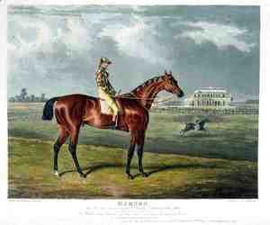 'Memnon', the Winner of the Great St. Leger at Doncaster, 1825