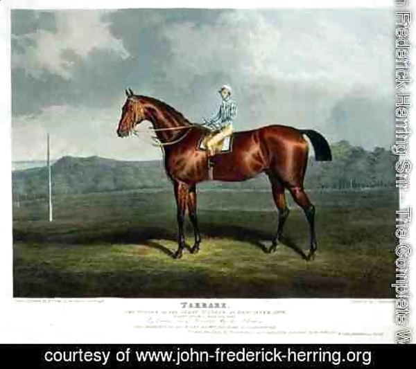 John Frederick Herring Snr - 'Tarrare', the Winner of the Great St. Leger at Doncaster, 1826