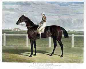 'Rockingham', the Winner of the Great St. Leger Stakes at Doncaster, 1833
