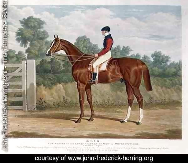 'Elis', the Winner of the Great St. Leger Stakes at Doncaster, 1836