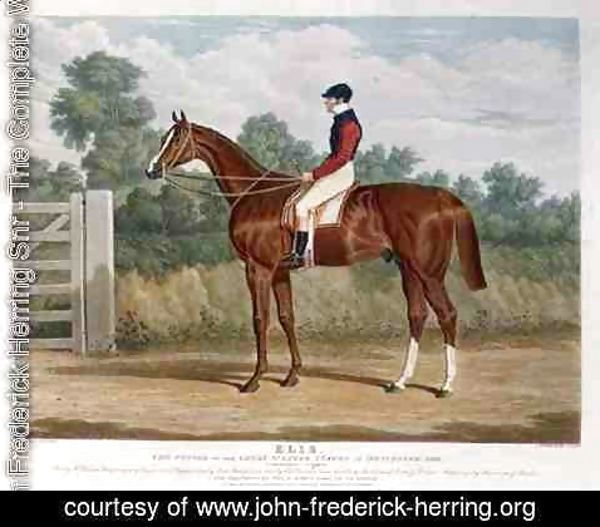 John Frederick Herring Snr - 'Elis', the Winner of the Great St. Leger Stakes at Doncaster, 1836